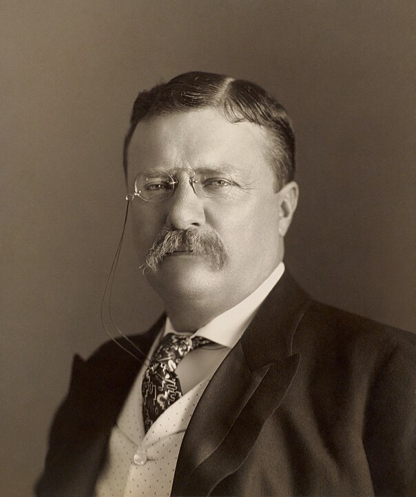 (26th) Twenty Sixth President of United States of America: Theodore Roosevelt